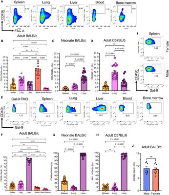 Galectin-9 promotes natural killer cells activity via interaction with CD44